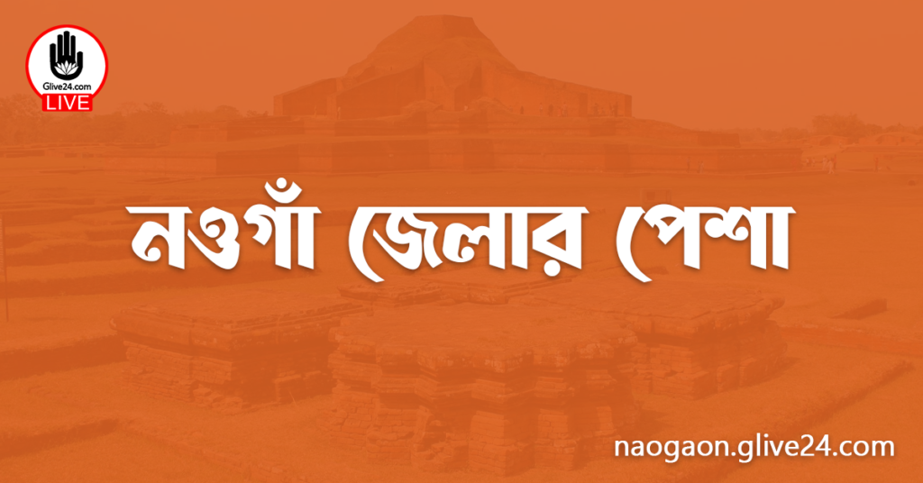 নওগাঁ জেলার পেশা