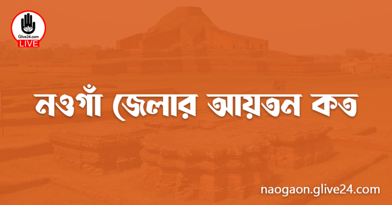 নওগাঁ জেলার আয়তন কত