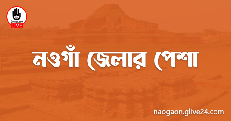 নওগাঁ জেলার পেশা