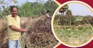 বদলগাছীতে সমন্বিত চাষে লাভবান আব্দুর রউফ